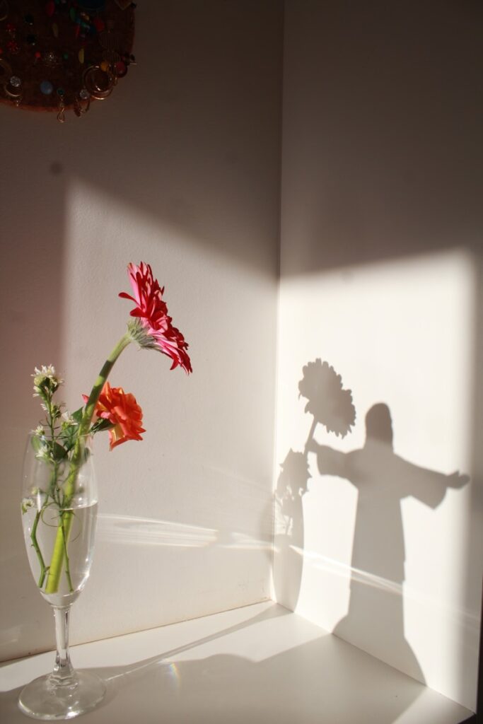 red flowers in clear glass vase